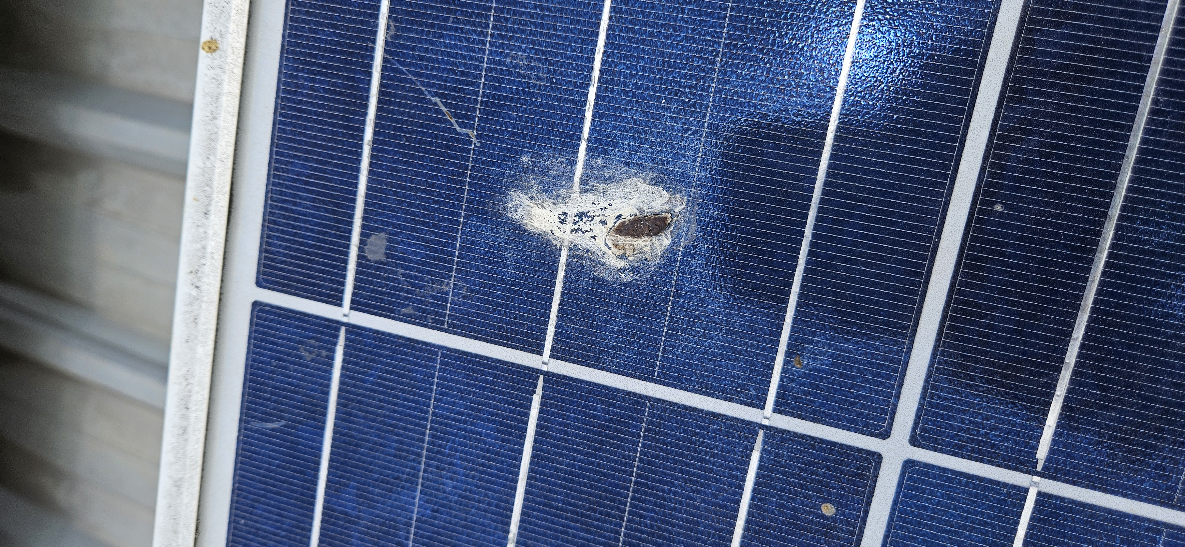 Photo of a solar panel with large bird dropping in the middle
